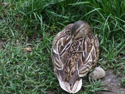 Прикрепленное изображение: u13.jpg